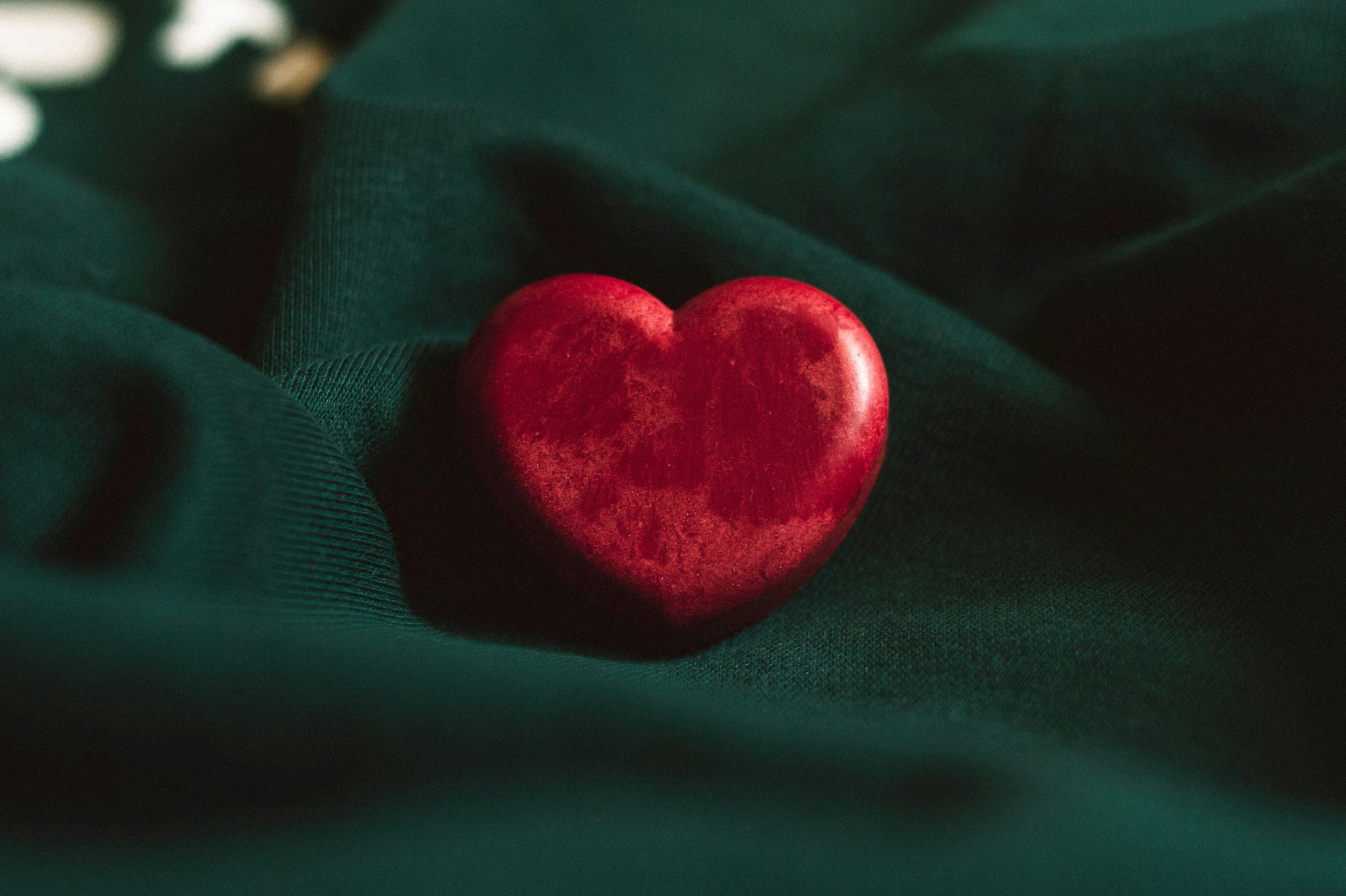 dhaya-eddine-bentaleb-nPGV7whyrjE-unsplash dhaya-eddine-bentaleb-nPGV7whyrjE-unsplash