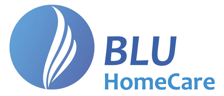 Logo_BLU-HomeCare-Consulting